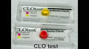CLO TEST HP FAST ‫ اختبار بكتيريا المعدة بالارد امريكي ‬‬‬