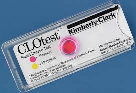 CLO TEST HP FAST ‫ اختبار بكتيريا المعدة بالارد امريكي ‬‬‬
